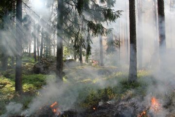 Regolamentazione accesso territorio Parco Val Grande a causa incendio